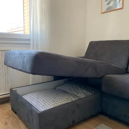 Appartement Cosy Proche Du Centre Annecy Buitenkant foto